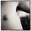 Praying mantis, Kennebunkport Maine 2005