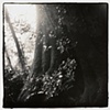 Stourhead, Wiltshire England 1997