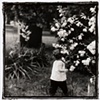Botanical garden- Mass 2001
