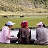 Horsemaidens resting
