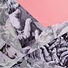 Dancing with the pornstars (detail)