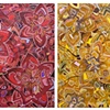 Amurensis (both panels)