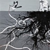 Roots Love