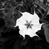 Symmetry