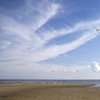 low tide, flying high