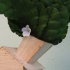 Indoor grow scene 4 (for Leigh)