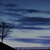 Night Sky Reflected