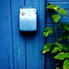 Doors and Leafs
