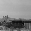 Everything Beautiful & Lofty iii: [Timshel]