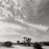 Yucca Valley