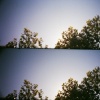 Lomo