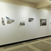 Dana Clancy: Points of View, Hollister Gallery, Babson College, Wellesley, MA