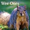 Wee Ones