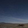 truck, nevada
