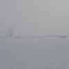 snow