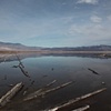 the road 2010