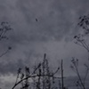storm