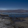 saline valley