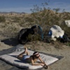 willow sun bathing, anza borrego