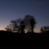 roadside