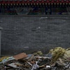 beijing 2007