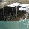 oaxaca natural dyes