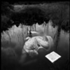 ophelia
