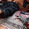 Loft Spring 2010