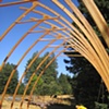 barn raising summer 2008
