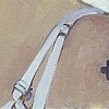 Fortuna II