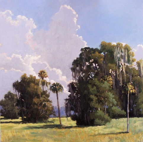 Evinston Sky
