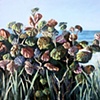 Sea Grapes at Canaveral National Seashore- South Park