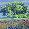 Bluebonnets-SOLD