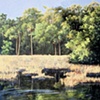 Spruce Creek-SOLD