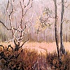 Fish Prairie- SOLD
Sebastian's Trail
Fair Oaks Residency