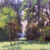  Fair Oaks Farm View- SOLD