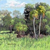 Field One Palms-  SOLD