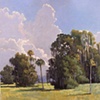 Evinston Sky