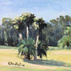 Fair Oaks Palms-SOLD