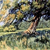 Fair Oak-SOLD