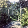 Solski Trail Fish Prairie