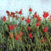 Flowers #6 -SOLD