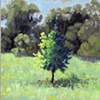 Lemon Tree-SOLD