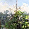 Faye's Bald Cypress Tree- SOLD