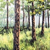Pines-SOLD