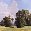 Evinston Sky