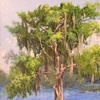 Bald Cypress- SOLD