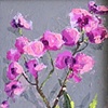 Pink Orchids- SOLD