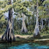 Bald Cypress at Rum Island