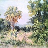 Anastasia State Park Palm